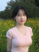 系十七届、十八