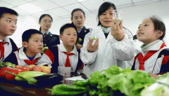 <b>行业协会、消费者协会等</b>