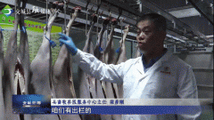 专项开展了针对“瘦肉精”等犯禁药物残留的抽